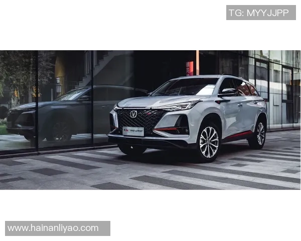 伊布与海伦娜的巅峰对决谁将成为最后的胜者